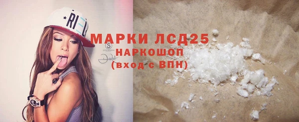 прущие грибы Алзамай