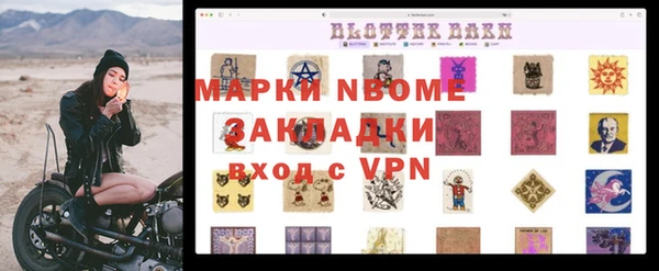прущие грибы Алзамай
