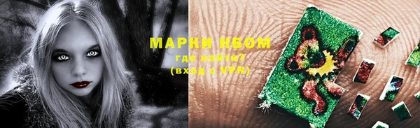 прущие грибы Алзамай