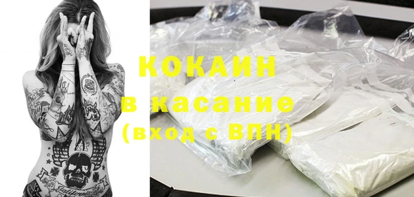 прущие грибы Алзамай