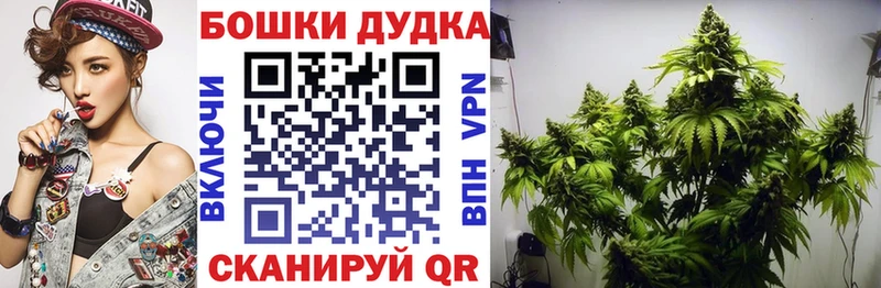Бошки Шишки планчик Калининск